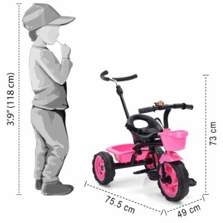 Tricycle With Push Handle On Rent Pink 2