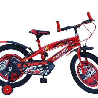 RAW BICYCLES 16T Sports BMX Single Speed Bicycle for Kids on Rent 1