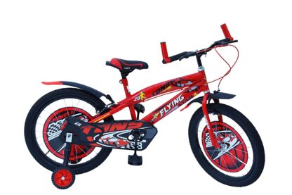RAW BICYCLES 16T Sports BMX Single Speed Bicycle for Kids on Rent 1