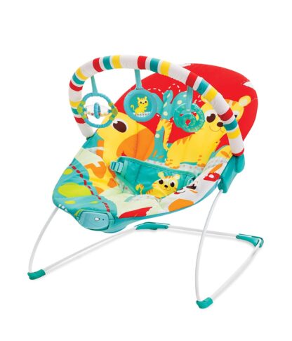 Mastela Toddlers to Newborn Baby Rocker and Musical Bouncer Chair On Rent 2
